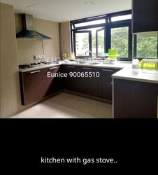 Pandan Valley (D21), Condominium #366999961